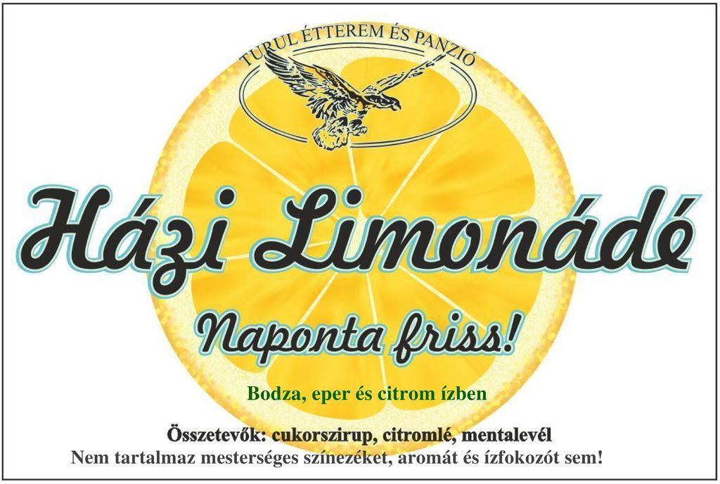Turul Etterem Es Panzio Hotel Kaposvár Eksteriør billede